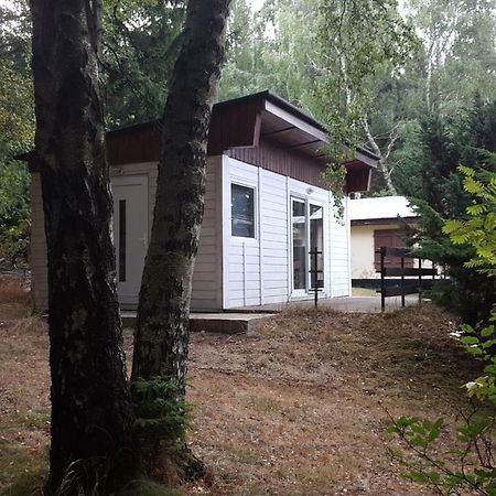 Bungalowdorf Klein Budelsdorf Altenberg Buitenkant foto