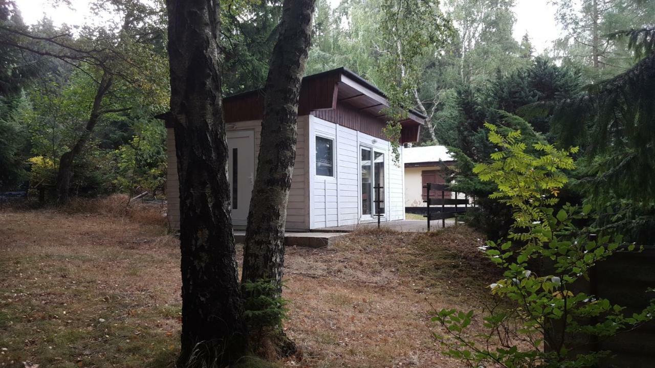 Bungalowdorf Klein Budelsdorf Altenberg Buitenkant foto